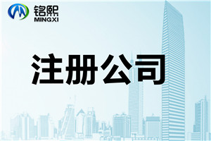 公司與個體戶的差異